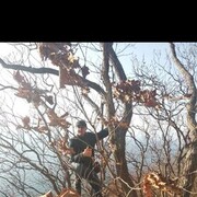 ���������� �����, ���� ������� �������, 37 ���, ������������ ��� ������, ����� � ���������