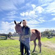 ���������� �����������, ���� ������� ������, 28 ���, ������������ ��� ������, ����� � ���������