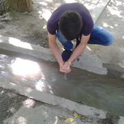 ���������� �������, ���� ������� Bexa, 34 ����, ������������ ��� ������, ���������