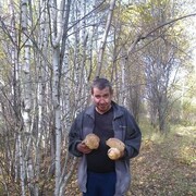  ,   , 44 ,   ,   