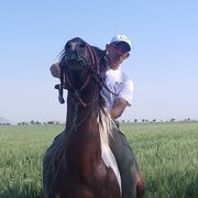 ���������� �������, ���� ������� Ozod, 40 ���, ������������ ��� ������, ����� � ���������