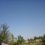  ,   Zahan, 43 ,   
