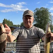 ���������� ��������, ���� ������� ���������, 52 ����, ������������ ��� ����� � ���������