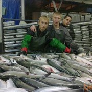  ,   ORLIK, 40 ,   ,   , c 