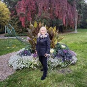 ���������� �����, ���� ������� ��������, 66 ���, ������������ ��� ������, ����� � ���������