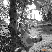  Algiers,  , 44