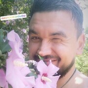 ���������� �����, ���� ������� ������, 38 ���, ������������ ��� ������, ����� � ���������