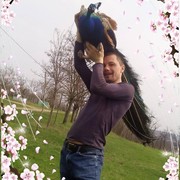  ,   Alex, 30 ,     , c 