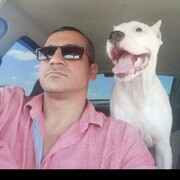 ���������� ������-��-����, ���� ������� ���������, 40 ���, ������������ ��� ������, ����� � ���������, c�������� ���������, ���������