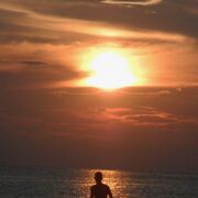 ���������� ����������, ���� ������� ������, 38 ���, ������������ ��� ������, ����� � ���������