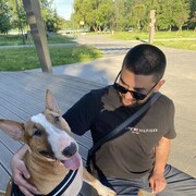 ���������� �����-���������, ���� ������� SSS, 32 ����, ������������ 