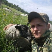 ���������� �����-���������, ���� ������� �������, 36 ���, ������������ ��� ������, ����� � ���������