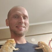 ���������� ���������, ���� ������� ���������, 43 ����, ������������ ��� ������