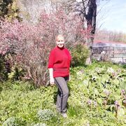 ���������� �����-���������, ���� ������� �����, 66 ���, ������������ ��� ������, ����� � ���������, c�������� ���������, ���������