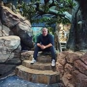 ���������� ���������, ���� ������� ������, 44 ����, ������������ ��� ������, ����� � ���������, c�������� ���������