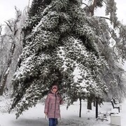 ���������� �����������, ���� ������� ���������, 69 ���, ������������ ��� c�������� ���������