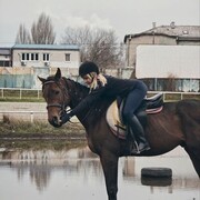 ���������� �������, ���� ������� Pokica, 28 ���, ������������ ��� ������, ����� � ���������