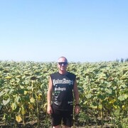 ���������� ��������, ���� ������� �����, 38 ���, ������������ ��� ������, ����� � ���������, ���������