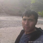 ���������� ������ �����, ���� ������� ������, 38 ���, ������������ ��� ����� � ���������, c�������� ���������, ���������