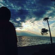  ,   , 29 ,  