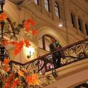 ���������� ������, ���� ������� ����, 36 ���, ������������ ��� ������, ����� � ���������, c�������� ���������