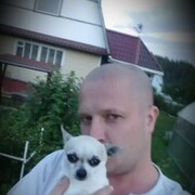 ���������� �����, ���� ������� �����, 40 ���, ������������ ��� ������, ����� � ���������, c�������� ���������