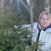  ,   , 53 ,   ,   