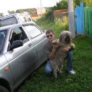 ���������� ��������, ���� ������� ����, 64 ����, ������������ ��� ������, ����� � ���������, c�������� ���������