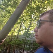 ���������� ����, ���� ������� �������, 39 ���, ������������ ��� ������, ����� � ���������