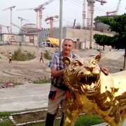  ,   , 55 ,   ,   