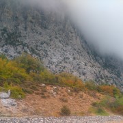 ���������� �����������, ���� ������� ������, 46 ���, ������������ ��� ������, ����� � ���������, c�������� ���������