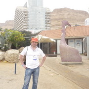 ,   , 51 ,   