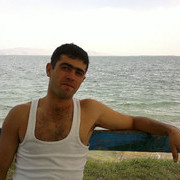  ,   Nar41848083, 33 ,   