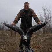 ���������� ����, ���� ������� ����, 35 ���, ������������ ��� ������