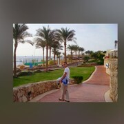 ���������� �����, ���� ������� �����, 40 ���, ������������ ��� ������, ����� � ���������