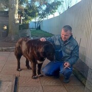 ���������� �����-���������, ���� ������� ������, 49 ���, ������������ ��� ������, ����� � ���������