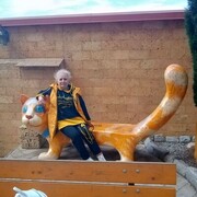 ���������,����� �������� 11.05.2024