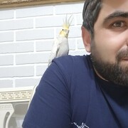 ���������� �������, ���� ������� ����, 37 ���, ������������ ��� ������, ����� � ���������