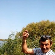  ,    , 57 ,   