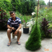  ,  suren, 50