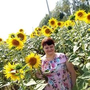  ,   , 49 ,   ,   