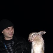  ,   , 41 ,   