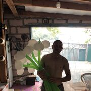 ���������� ������, ���� ������� ����, 48 ���, ������������ ��� ������, ���������