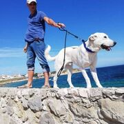  ,   Sergiy, 46 ,   ,   