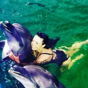 ���������� ������, ���� ������� ������, 42 ����, ������������ ��� ������, ����� � ���������