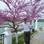 ���������� ��������, ���� ������� ������, 49 ���, ������������ 