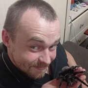 ���������� ���������, ���� ������� �����, 37 ���, ������������ ��� ������, ����� � ���������, c�������� ���������