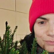  -,   , 35 ,   , 