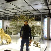 ���������� ������, ���� ������� �����, 35 ���, ������������ ��� ������, ����� � ���������