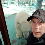 ���������� �����, ���� ������� ��������, 37 ���, ������������ ��� ������, ����� � ���������, c�������� ���������, ���������